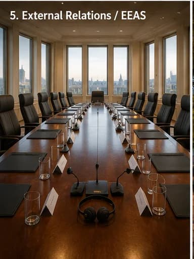 EEAS diplomats reviewing briefing notes in a Brussels EU Delegation conference room